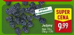 ALDI Jeżyny Aldi oferta