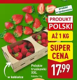 ALDI Truskawki XXL Aldi oferta