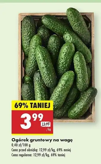 Biedronka Ogórki gruntowe oferta
