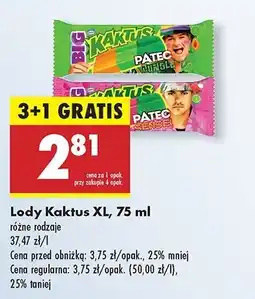 Biedronka Lód patec sensei Nestle kaktus oferta