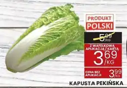 Wafelek Kapusta pekińska Wafelek oferta