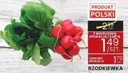 Wafelek Rzodkiewka Wafelek oferta