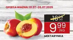 Wafelek Nektarynka Wafelek oferta