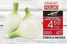 Wafelek Cebula młoda Wafelek oferta