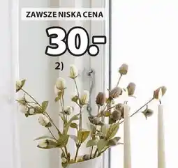JYSK Kwiat sztuczny audun oferta