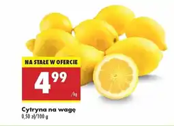 Biedronka Cytryna oferta