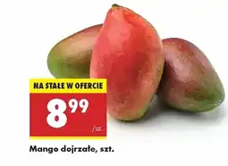 Biedronka Mango oferta
