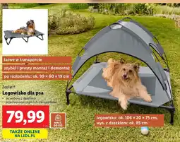 Lidl Zoofari legowisko dla psa oferta