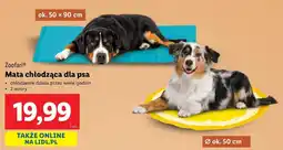 Lidl Zoofari mata chłodząca dla psa oferta