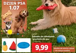 Lidl Zoofari zabawka do chłodzenia i gryzienia dla psa oferta