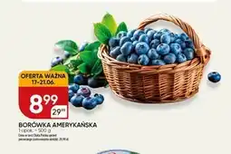 Chata Polska Borówka amerykańska Chata polska oferta