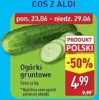 ALDI Ogórek gruntowy oferta