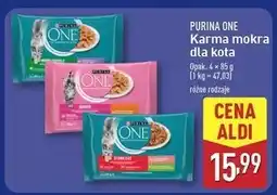 ALDI Karma dla kota junior z kurczakiem i marchewką Purina One oferta