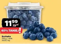 Netto Borówka oferta