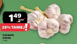 Netto Czosnek młody oferta
