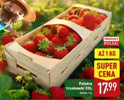 ALDI Truskawki XXL Aldi oferta