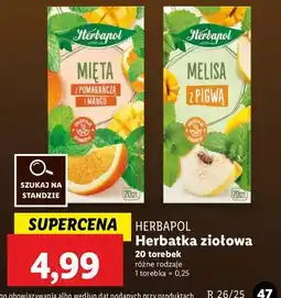 Lidl Herbata mięta z pomarańczą i mango Herbapol oferta