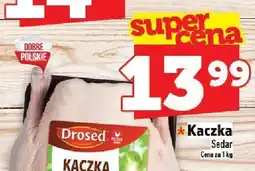 Topaz Kaczka Drosed oferta