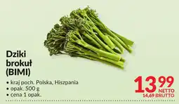 Makro Dziki brokuł (BIMI), 1 opak. Makro oferta