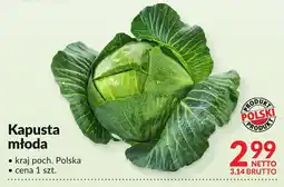 Makro Kapusta młoda polska 1 szt. Makro oferta