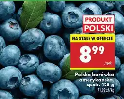 Biedronka Polska borówka amerykańska, opak. 125 g oferta