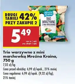 Biedronka Trio warzywne z mini marchewką Mroźna Kraina 750 g oferta