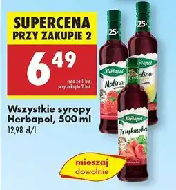 Biedronka Wszystkie syropy Herbapol, 500 ml oferta
