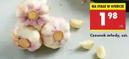 Biedronka Czosnek młody szt oferta