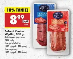 Biedronka Salami Kraina Wędlin 300 g oferta