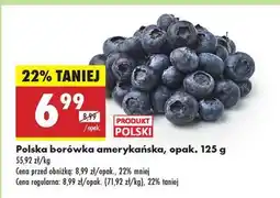 Biedronka Polska borówka amerykańska, opak. 125 g oferta