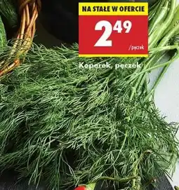 Biedronka Koperek pęczek oferta