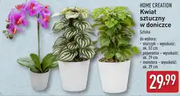 ALDI Kwiat sztuczny Home Creation oferta