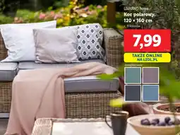 Lidl Koc Livarno oferta