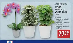 ALDI Kwiat sztuczny w doniczce oferta