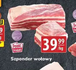 API MARKET Szponder wołowy oferta