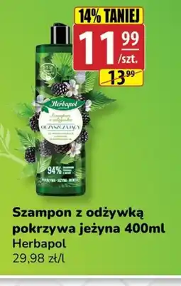 API MARKET Szampon z odżywką pokrzywa jeżyna Herbapol oferta