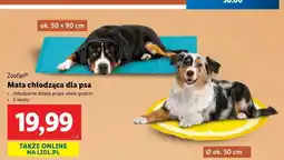 Lidl Mata chłodząca Zoofari oferta
