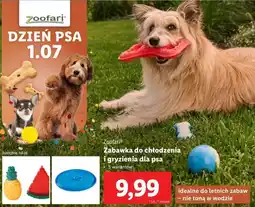 Lidl Zabawka do chłodzenia i gryzienia dla psa oferta