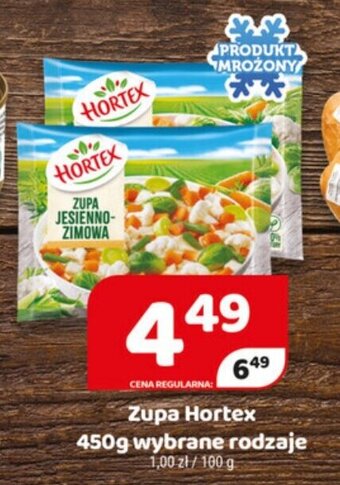 Delfin Zupa Hortex 450g oferta