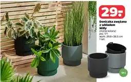 Netto Doniczka zwężana z wkładem Milly oferta