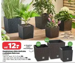 Netto Kwadratowa niska doniczka z wkładem Rato Low oferta