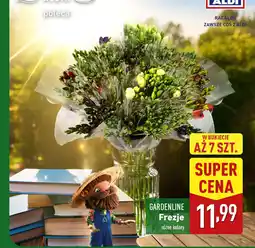ALDI GARDENLINE Frezje oferta