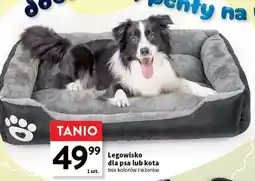 Intermarche Legowisko dla kota oferta