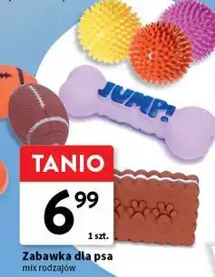 Intermarche Zabawka dla psa oferta
