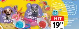 Intermarche Jajko niespodzianka dla kota Joy&Toy! oferta