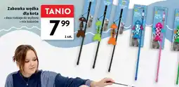 Intermarche Wędka dla kota oferta