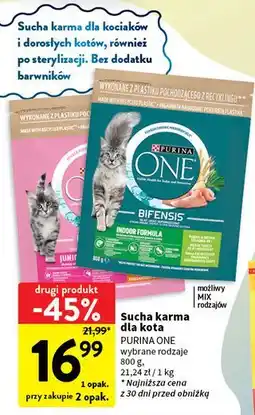 Intermarche Karma dla kota junior Purina One oferta