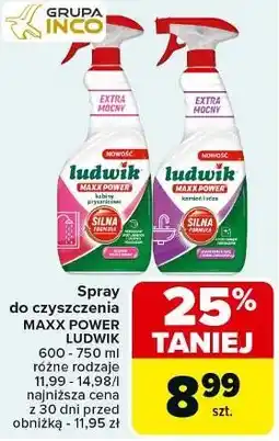 Carrefour Spray do czyszczenia MAXX POWER Ludwik oferta