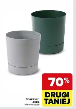 Carrefour Doniczka aria oferta