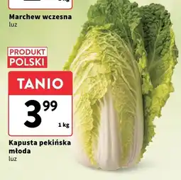 Intermarche Kapusta pekińska polska młoda - luz Intermarche oferta
